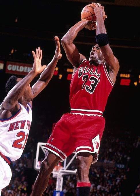 展现出极高 展现出极高