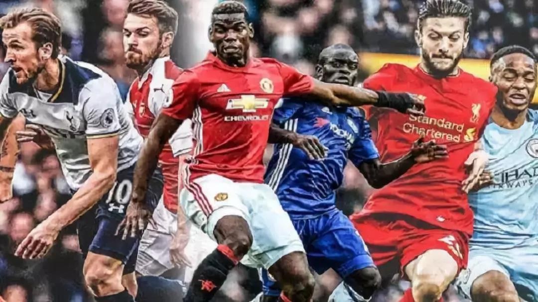 他们不仅拥 他们不仅拥