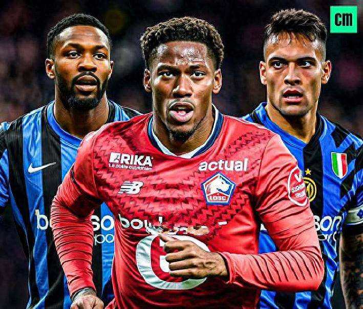 仅展示了球 仅展示了球