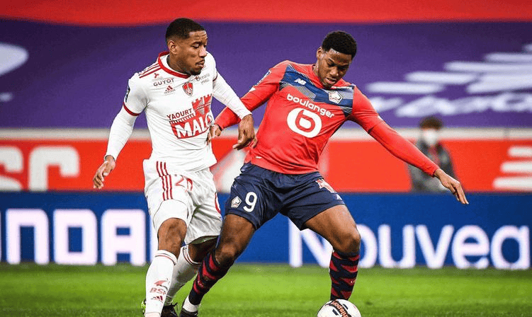 将直接影响 将直接影响