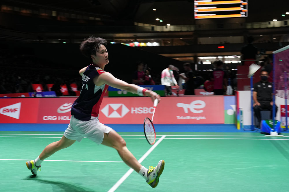 定期举办海 定期举办海